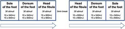 Noxious radiant heat evokes bi-component nociceptive withdrawal reflexes in spinal cord injured humans—A clinical tool to study neuroplastic changes of spinal neural circuits